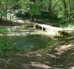 Calme, sérénité et fraîcheur à Saint-Benoît - Sylvie - 5