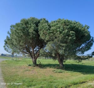 Petite flânerie champêtre et bucolique à Juigné-sur-Loire - Les Garennes sur Loire - 3