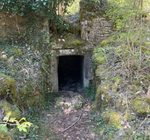 Les hauts de la Combe de Fixey et Combe Laveau - Brochon - 5