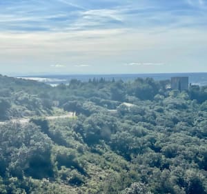 Randonnée VTTae facile autour de l’abbaye St Félix Montceau - Gigean - 4
