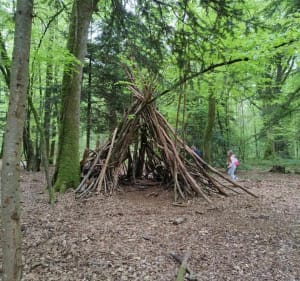Promenade en forêt de Coëtquen - Saint-Hélen - 3