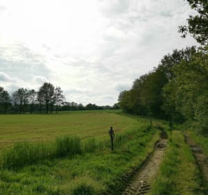 Sentiers autour de la Mirais - La Chapelle-sur-Erdre - 4