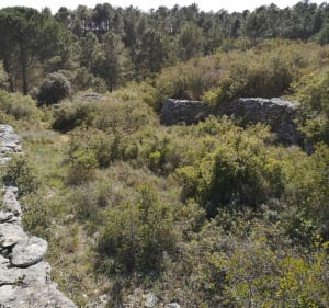 Sentier paysage de garrigue et pierres sèches à Aragon - Aragon - 3