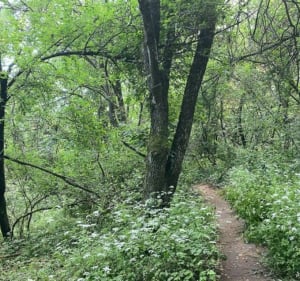Rando loisir entre quais et sentiers - Oullins - 3