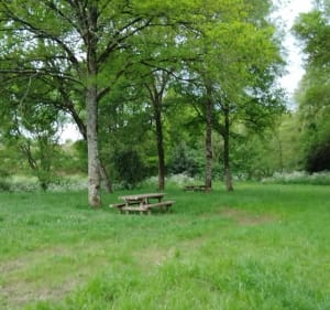 Balade le long de La Logne - Corcoué-sur-Logne - 3