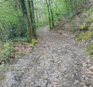 Dans la vallée des Vaux - Christophe - 5