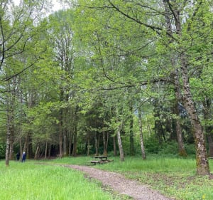 Comfortabele wandeling rond het meer van St-Hélène en Prés Marais Villaroux - Sainte-Hélène-du-Lac - 4
