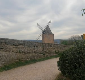 Goult, construction de pierres et chemins de campagne - Goult - 3