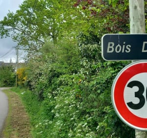 Visite à Saint-Armel - Guillaume - 3