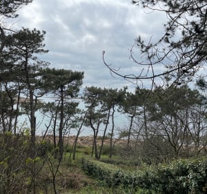 Pointe du Diben - Plougasnou - 4