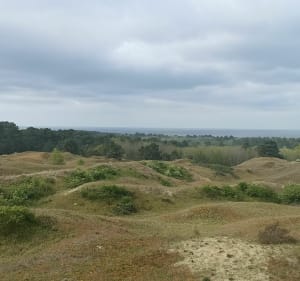 Dunes et mer à Sainte-Cécile-Plage - Émilie - 3