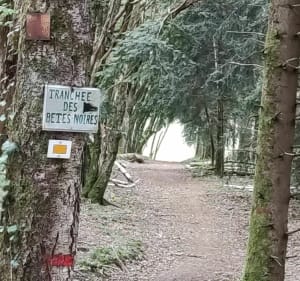 Wandel rond Meroux bij de Bêtes Noires - Meroux-Moval - 3