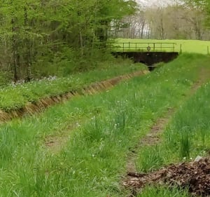 Wandel rond Meroux bij de Bêtes Noires - Meroux-Moval - 4