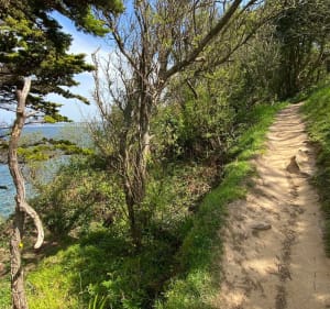 Trestrignelcircuit in Perros-Guirec - Perros-Guirec - 3