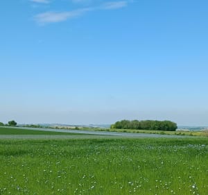 La chignole - Champniers - 5