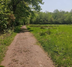 Bois Roquelaure en Chemin de la Vasserie - Lapugnoy - 4