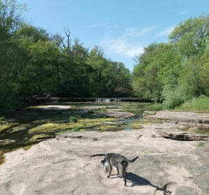 Tocht naar de waterval van Aille, in de Plaine des Maures - Vidauban - 5