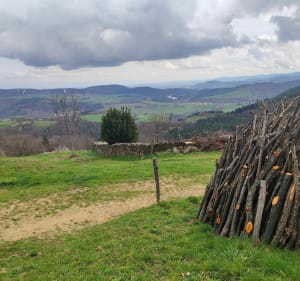 Saint-Julien-Molin-Molette par le Bois Gras - Saint-Julien-Molin-Molette - 4