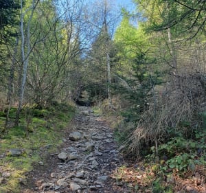 Boucle Doizieux vers Col de l'Oeillon - Doizieux - 3