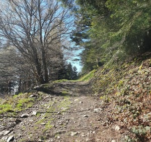 Boucle Doizieux vers Col de l'Oeillon - Doizieux - 4