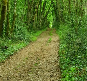 Saint-Amant-de-Boixe et ses 10 km - Saint-Amant-de-Boixe - 3