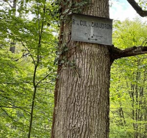 Gorges d Appremont - Fontainebleau - 3