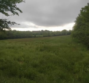 Circuit VTT au départ d'Onet-le-Château - Onet-le-Château - 3