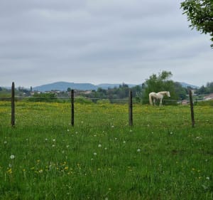 Balade vers les ruines de Saint-Germain - Ambérieu-en-Bugey - 4