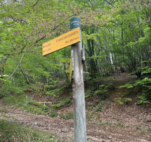 Balade dans les Chambarans - Roybon - 3