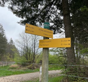 Balade dans les Chambarans - Roybon - 5