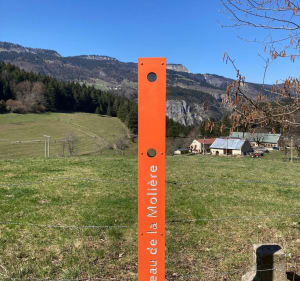 Belle balade au bois des Mûres - Lans-en-Vercors - 4