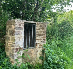 Balade à Saint-Sauveur-le-Vicomte - Saint-Sauveur-le-Vicomte - 3
