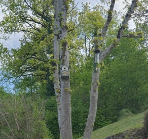 Balade de La Tourette - La Couronne - 3