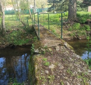 Le bas de la rivière à Saulcet - Saulcet - 3