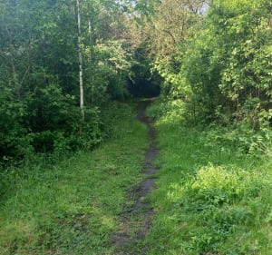 Eleu-dit-Leauwette- Liévin, val de Souchez - Percot - Éleu-dit-Leauwette - 4