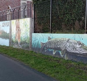 Au calme du Canal au champs à Comines - Comines - 5