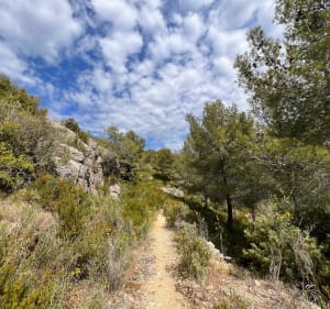 Randonnée au Gros Cerveau - Sanary-sur-Mer - 3