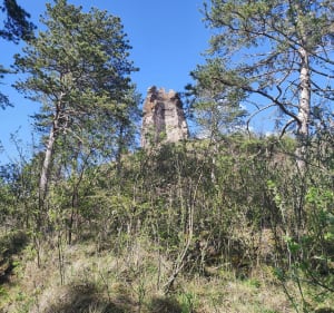 Tour de Montrognon via la Croix de Chomontel - Ceyrat - 4
