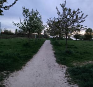 Entre petits chemins et bitume à Bussy Saint Georges, vous préférez quoi ? - Gouvernes - 5