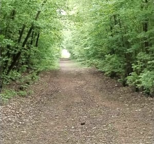 Le moulin à Pano, Burbure et Allouagne - Burbure - 3