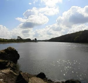 De Tréglonou au Carpont, le long de l'Aber Benoît - Tréglonou - 5