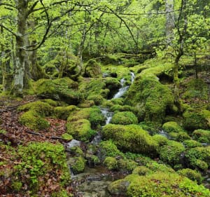 Wandeling naar de Luizet-waterval - Bénonces - 3