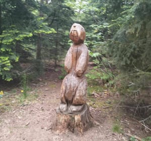 Balade nature par le chemin des Vachères et la Naute - Châtel-Guyon - 3