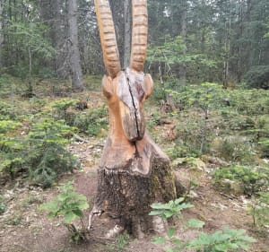 Balade nature par le chemin des Vachères et la Naute - Châtel-Guyon - 4