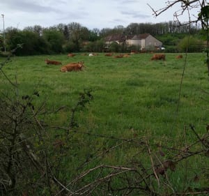 La boucle de Bernussou - Toulonjac - 3