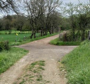 La boucle de Bernussou - Toulonjac - 5