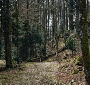 Randonnée à la Roche des Bioquets et Tête de Grouvelin - Gérardmer - 3