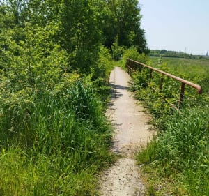Hazebrouck et ses alentours - Hazebrouck - 3