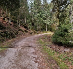 Randonnée à la Roche des Bioquets et Tête de Grouvelin - Gérardmer - 4