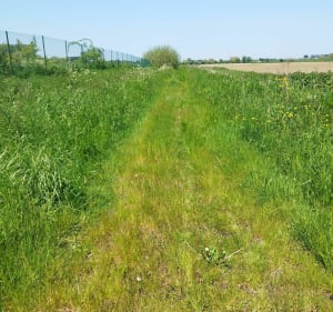 Hazebrouck et ses alentours - Hazebrouck - 4